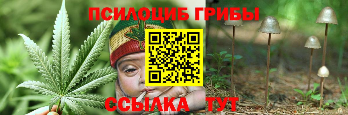 где можно купить   Вход с VPN  Иркутск  Галлюциногенные грибы мухоморы 